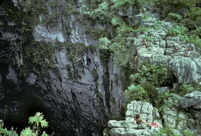 Cave of Swallows